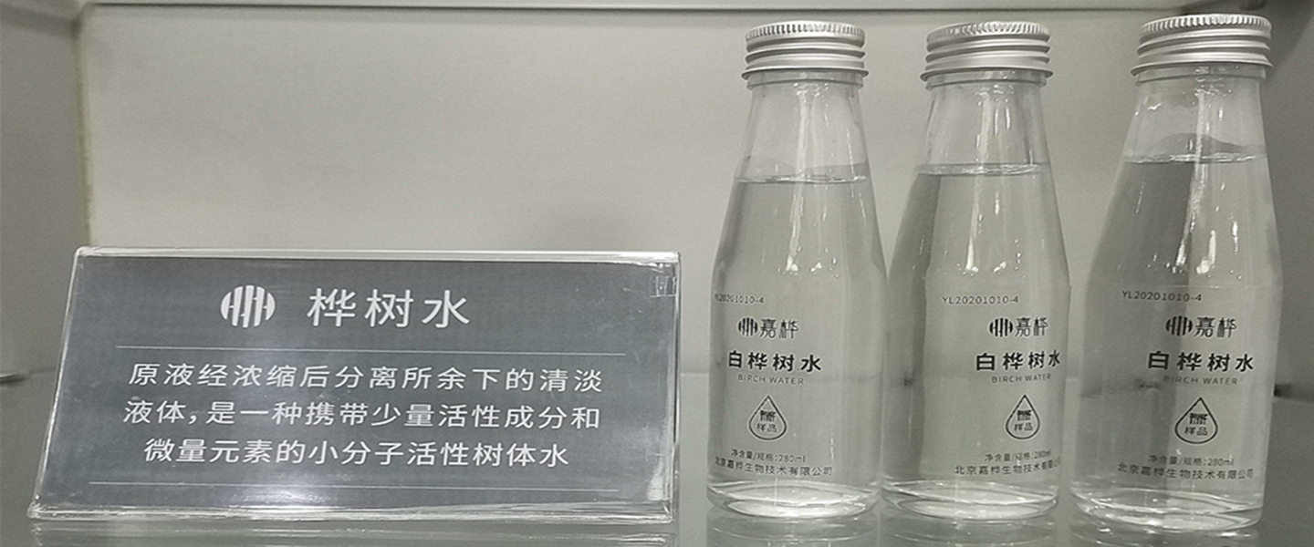 樺樹水
